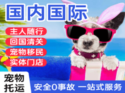 淮安空运地址国际宠物托运 【国